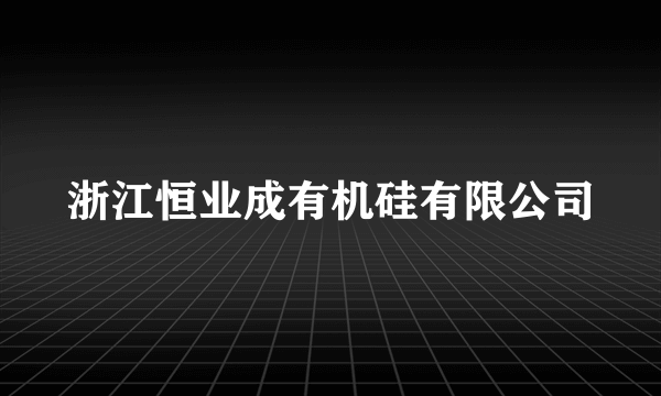 浙江恒业成有机硅有限公司