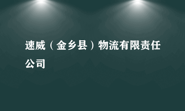 速威（金乡县）物流有限责任公司