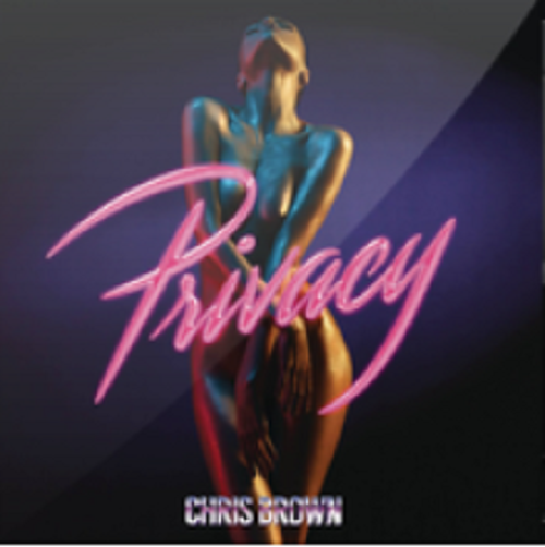 privacy（Chris Brown演唱歌曲）