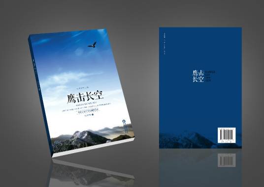 鹰击长空（2013年宁夏人民出版社出版的图书）