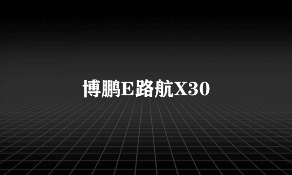 博鹏E路航X30