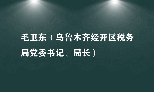 毛卫东（乌鲁木齐经开区税务局党委书记、局长）