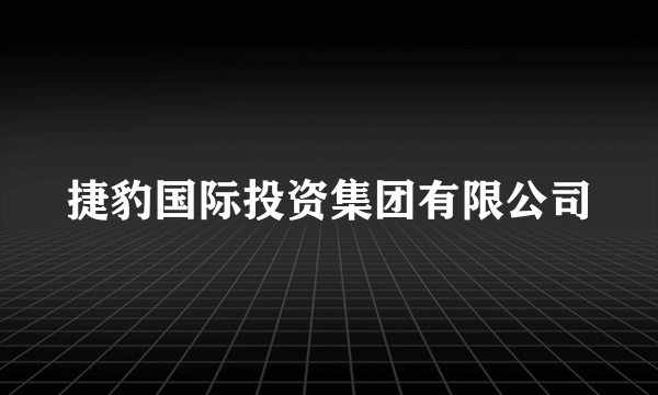 捷豹国际投资集团有限公司