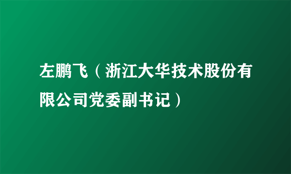 左鹏飞（浙江大华技术股份有限公司党委副书记）