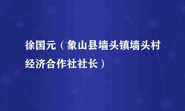 徐国元（象山县墙头镇墙头村经济合作社社长）