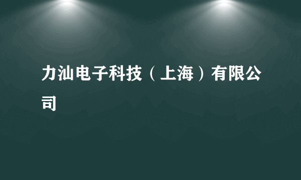 力汕电子科技（上海）有限公司