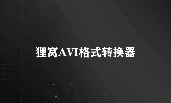 狸窝AVI格式转换器