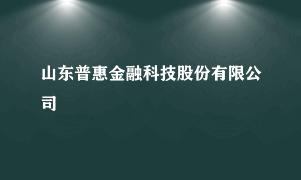 山东普惠金融科技股份有限公司