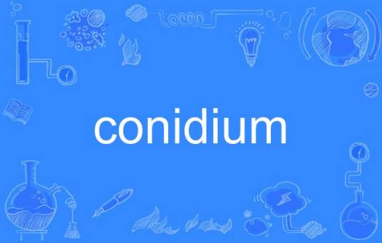 conidium