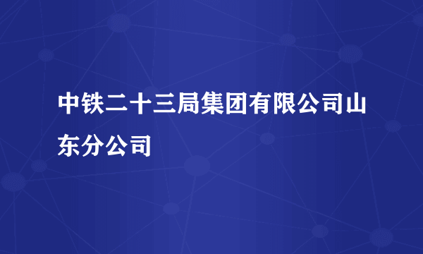 中铁二十三局集团有限公司山东分公司