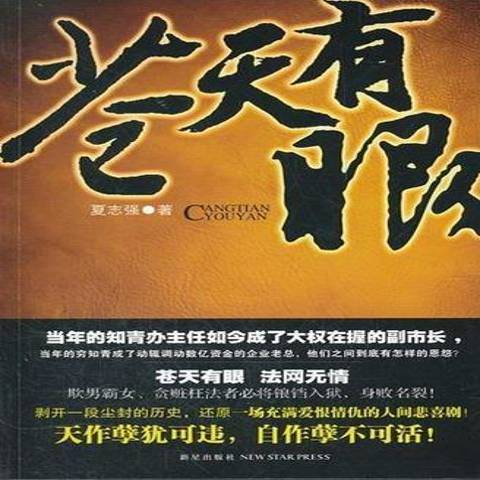 苍天有眼（2012年新星出版社出版的图书）