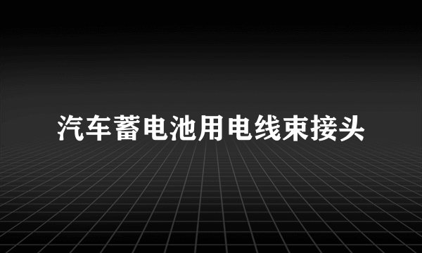 汽车蓄电池用电线束接头