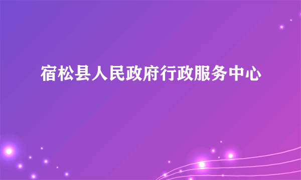 宿松县人民政府行政服务中心