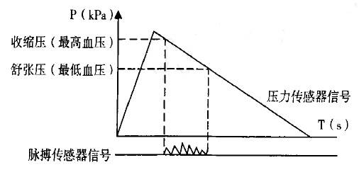 电子血压脉搏仪