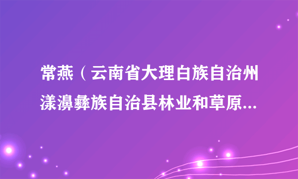 常燕（云南省大理白族自治州漾濞彝族自治县林业和草原局副局长）