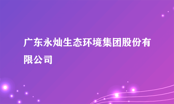 广东永灿生态环境集团股份有限公司