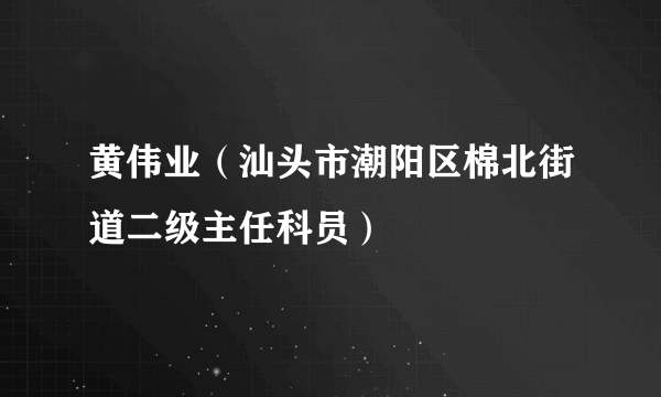 黄伟业（汕头市潮阳区棉北街道二级主任科员）