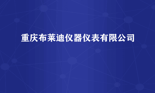 重庆布莱迪仪器仪表有限公司