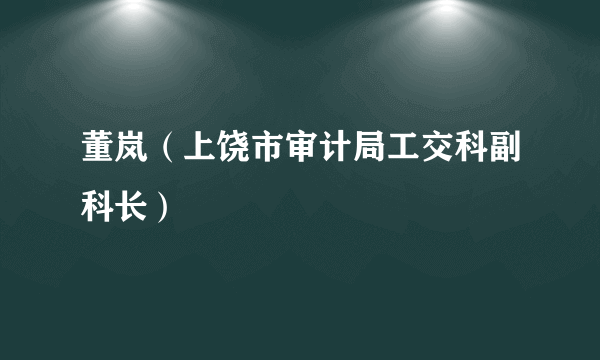 董岚（上饶市审计局工交科副科长）