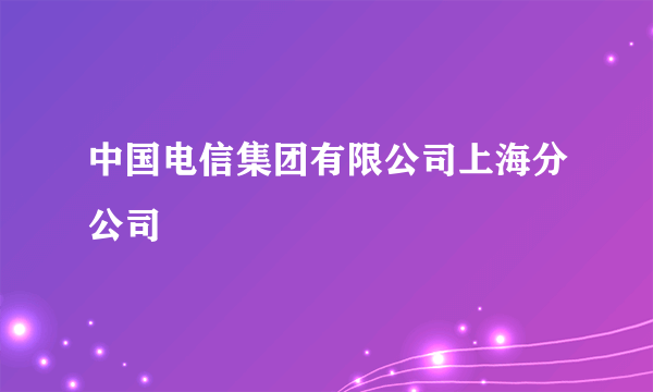 中国电信集团有限公司上海分公司