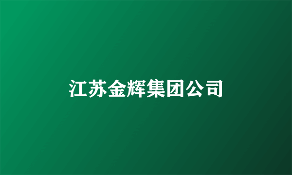 江苏金辉集团公司