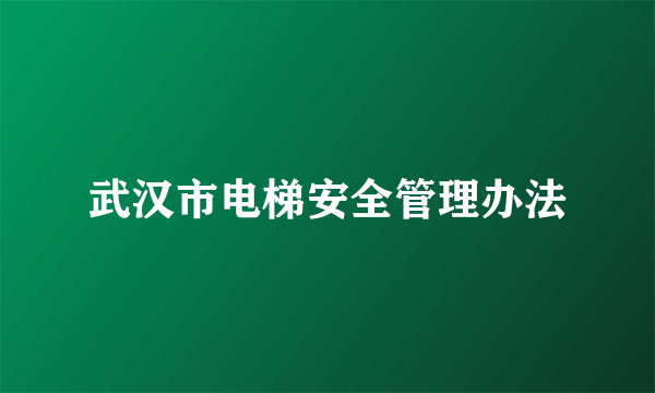 武汉市电梯安全管理办法