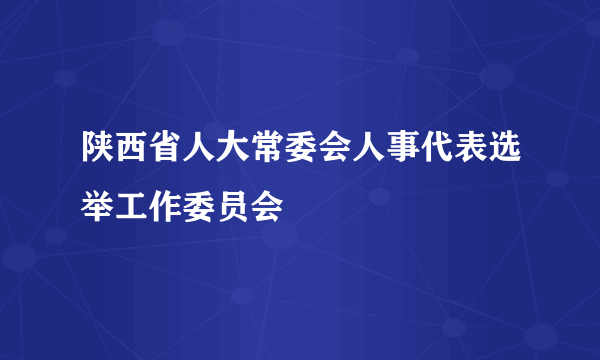 陕西省人大常委会人事代表选举工作委员会