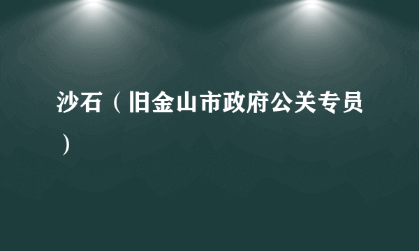 沙石（旧金山市政府公关专员）