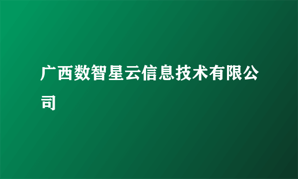 广西数智星云信息技术有限公司