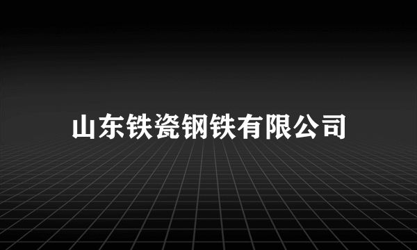 山东铁瓷钢铁有限公司