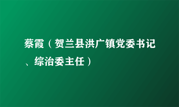 蔡霞（贺兰县洪广镇党委书记、综治委主任）