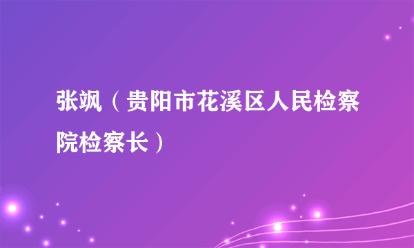 张飒（贵阳市花溪区人民检察院检察长）