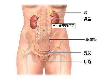 外阴阴道性不孕