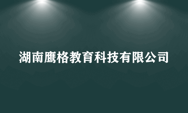 湖南鹰格教育科技有限公司