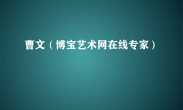 曹文（博宝艺术网在线专家）