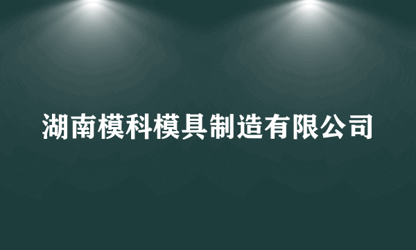 湖南模科模具制造有限公司