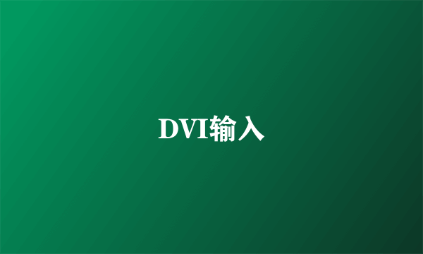 DVI输入