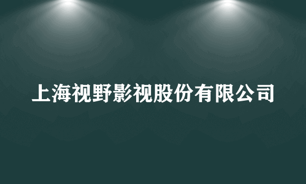 上海视野影视股份有限公司