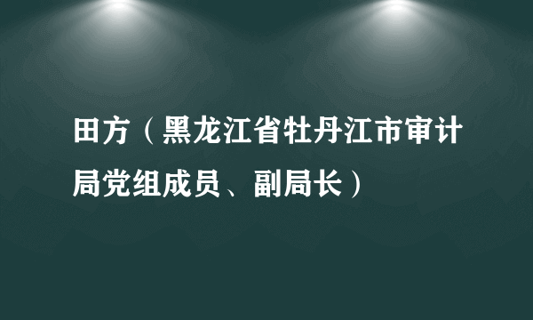 田方（黑龙江省牡丹江市审计局党组成员、副局长）