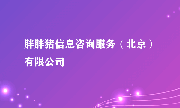 胖胖猪信息咨询服务（北京）有限公司