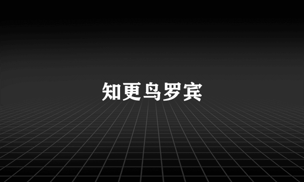 知更鸟罗宾