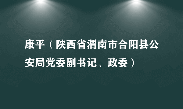 康平（陕西省渭南市合阳县公安局党委副书记、政委）