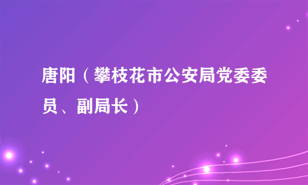 唐阳（攀枝花市公安局党委委员、副局长）