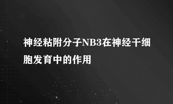 神经粘附分子NB3在神经干细胞发育中的作用