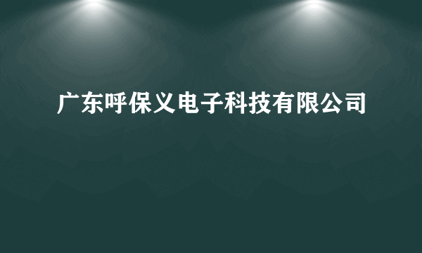 广东呼保义电子科技有限公司