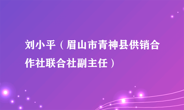 刘小平（眉山市青神县供销合作社联合社副主任）