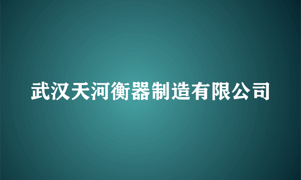 武汉天河衡器制造有限公司