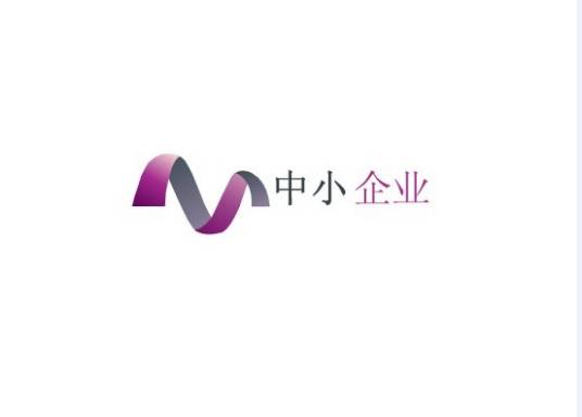 深圳市中小企业财务代理有限公司