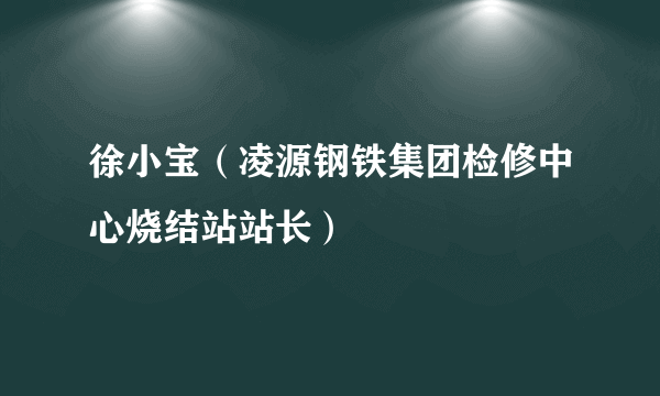 徐小宝（凌源钢铁集团检修中心烧结站站长）