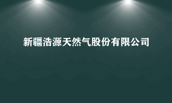 新疆浩源天然气股份有限公司